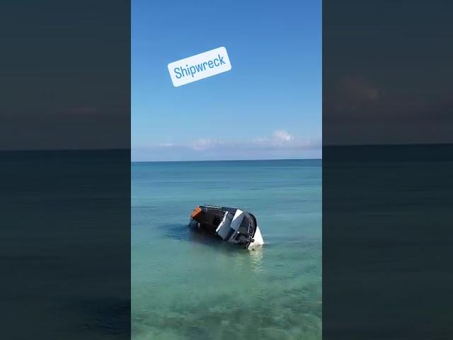 Shipwreck in the Florida Keys #fyp #shipwreck #foryou