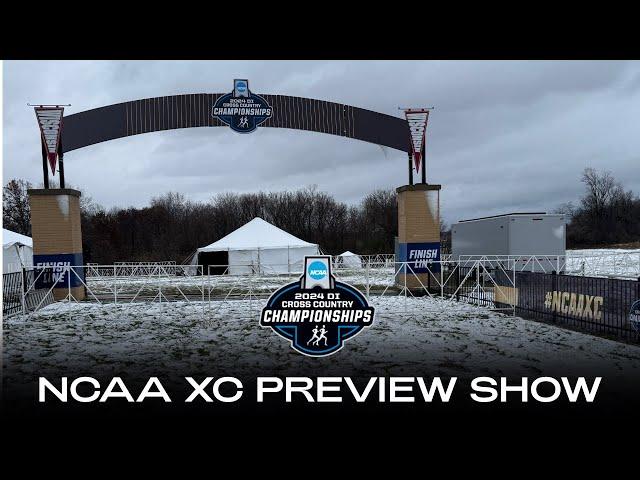 2024 NCAA CROSS COUNTRY CHAMPIONSHIPS PREVIEW SHOW + PREDICTIONS (LIVE FROM MADISON, WISCONSIN)