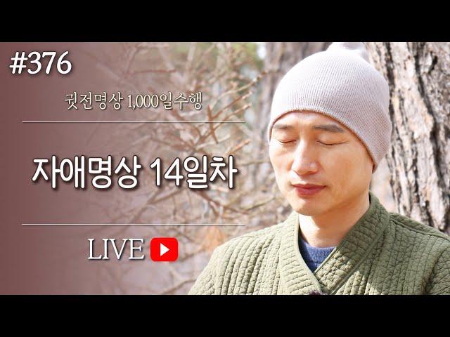  [실시간-명상방송] 자애명상수면명상 14일차▶귓전명상수련(376/426일) KoreaMeditation