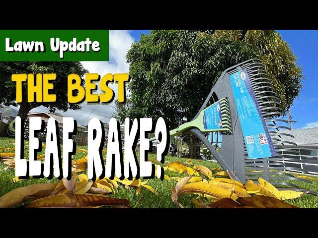 Could this be the Best Rake for Mango Leaves