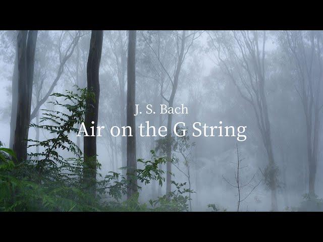 Relaxing Guitar Music - Air on the G String | Relaxation, Sleep, Study, Reading, Soothing