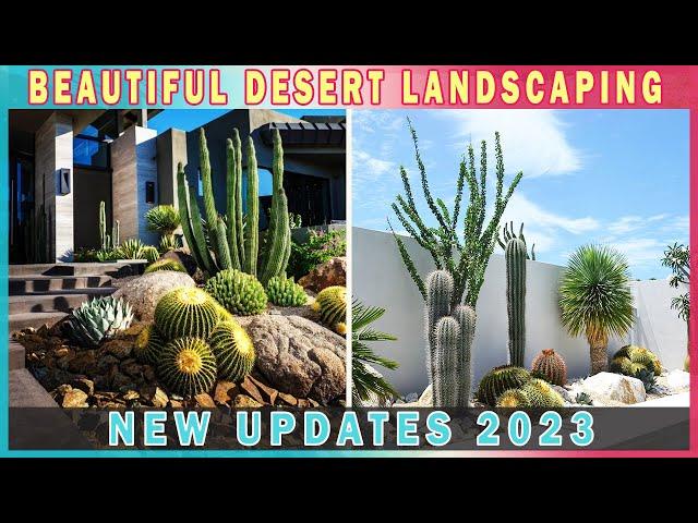 NEW UPDATES 2023! Modern Desert Garden Landscaping Ideas with Cactus & Succulent