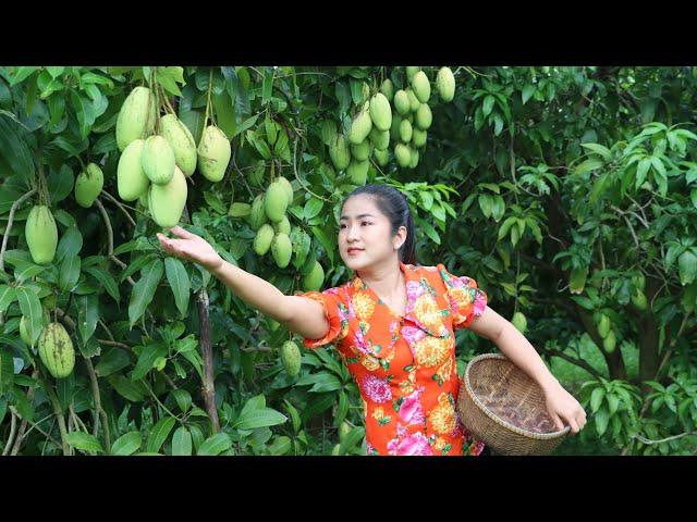 Countryside Life TV: '' One fruit for a table '' Green mango - 2 recipes with green mango