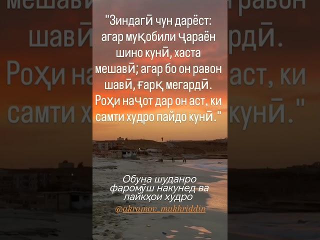 Як мисра шеър