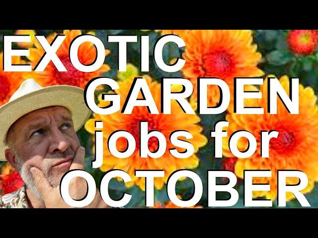 Topical Gardens UK: Exotic Garden Jobs for October