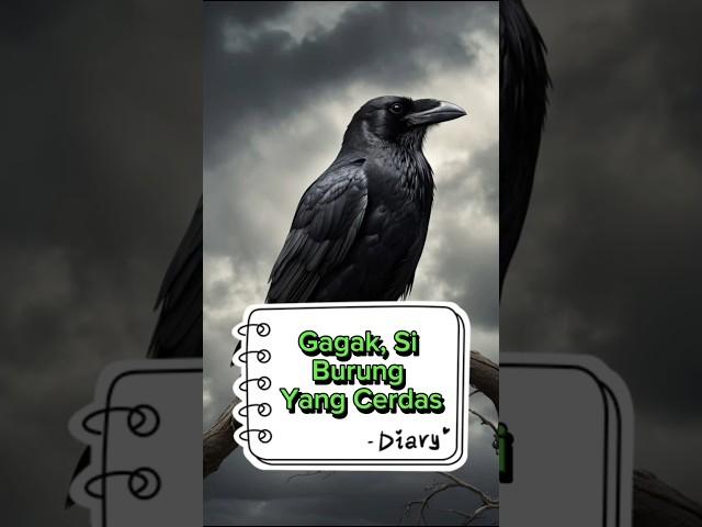 Fakta Menarik Burung Gagak #shorts #gagak