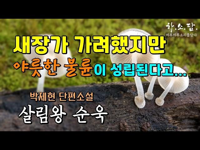 외로운 사람끼리 한 이불 안에서 정을 붙이며 살고 싶었다. [살림왕 순욱 박제현 단편소설] #하소담오디오드라마 #하소담오디오북