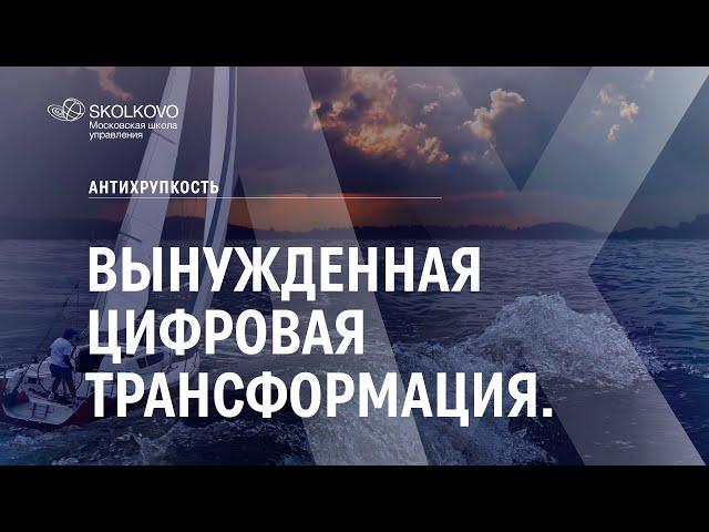 Вынужденная цифровая трансформация. Антихрупкость