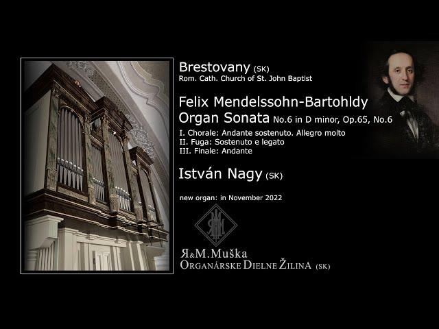 FELIX MENDELSSOHN-BARTHOLDY: ORGAN SONATA NO. 6  IN D MINOR (ISTVÁN NAGY, ORGAN, BRESTOVANY, SK)