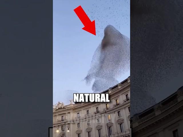  You WON'T believe these mysterious natural phenomena 
