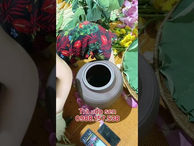 Cách làm trà đinh ướp gạo sen bách diệp hồ tây thơm ngon #trathainguyen #xuhuongyoutube