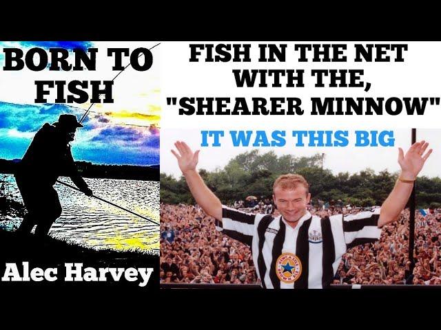 FLY TYING - THE SHEARER MINNOW