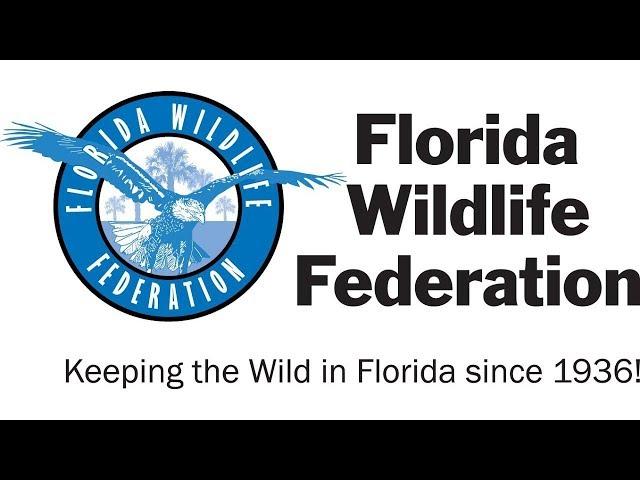 Keeping The Wild In Florida Since 1936