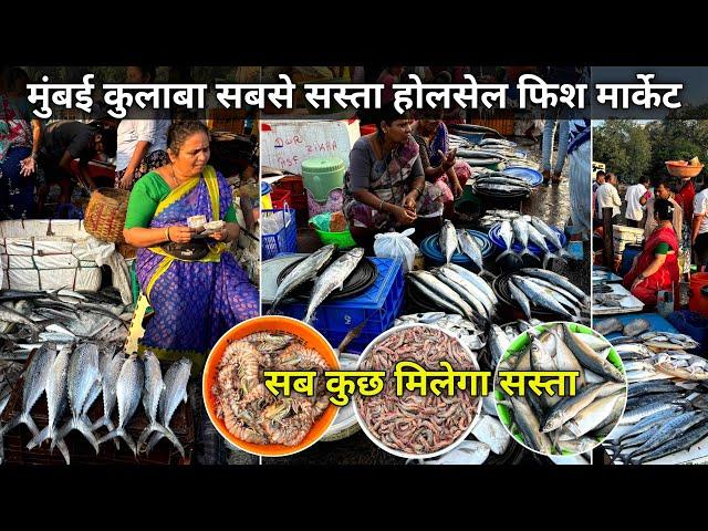 Mumbai Colaba Fish Market | Colaba Wholesale Fish Market | Sassoon Dock Fish Market