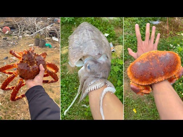 1 Đồng Mua Được Gì? P21 | Tik Tok Trung Quốc | Moo VN