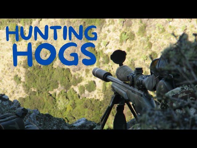 HUNTING HOGS | RED DEER | INVASIVE GOATS. SUPER SLOW MOs, HEAD SHOTS & LONG RANGE KILLS A PLENTY!