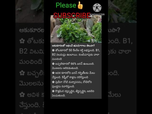 #ఆకుకూరలతో లభించే ఉపయోగాలు తెలుసా? #healthtips #shorts  #viralshorts #trending #syamalachethivanta