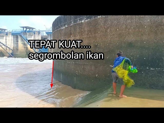 EDANNN BANGET...jala ikan di pintu air bendung gerak dapat banyak ikan|ikhtiar mancing im