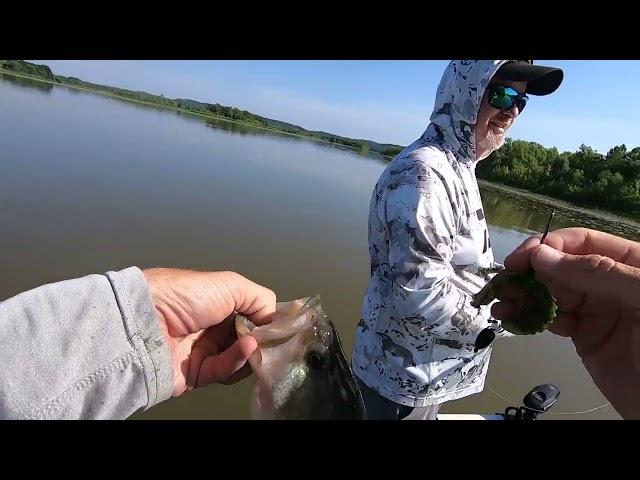 June Fishing on Lake Dardanelle