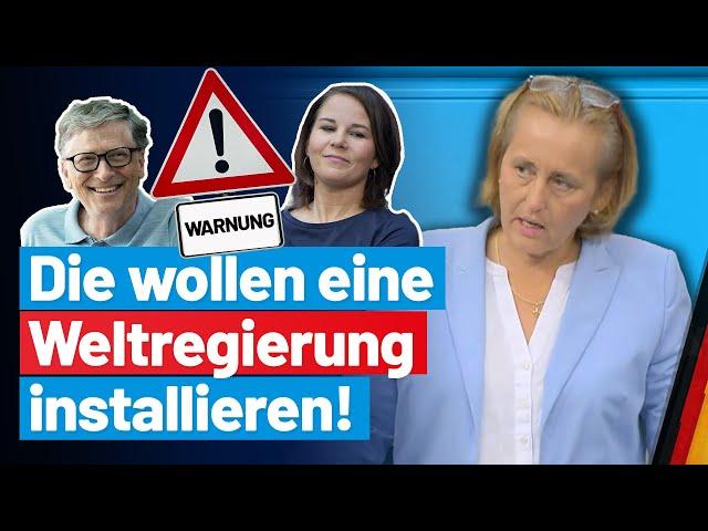 Vereinte Nationen planen Weltregierung! Beatrix von Storch - AfD-Fraktion im BT