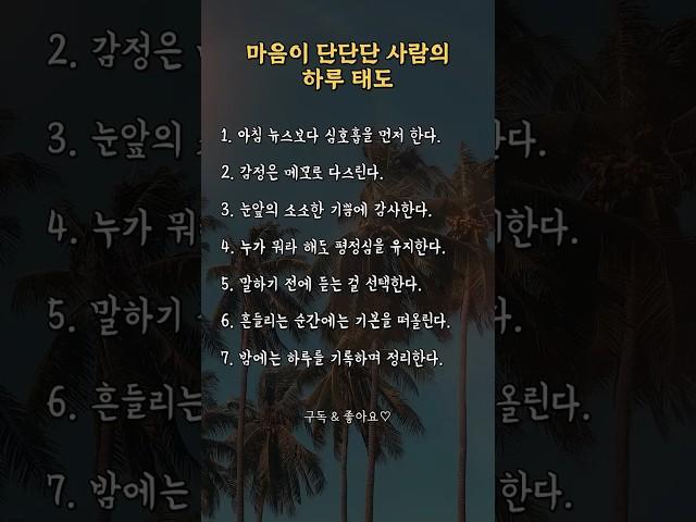 마음이 단단한 사람의 하루 태도 ⭐️ | #명언 #인생조언 #좋은글