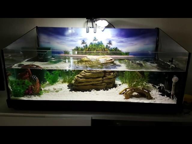 Tetra Repto Aqua Set with turtles and fish - part 1
