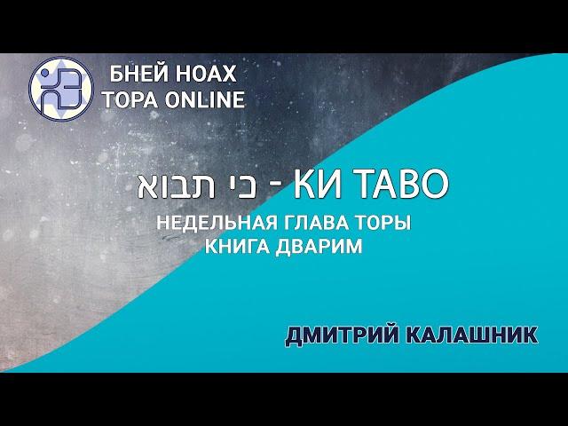 Недельная глава Торы - Парашат а-шавуа - "Ки таво" 5784/2024. Дмитрий Калашник