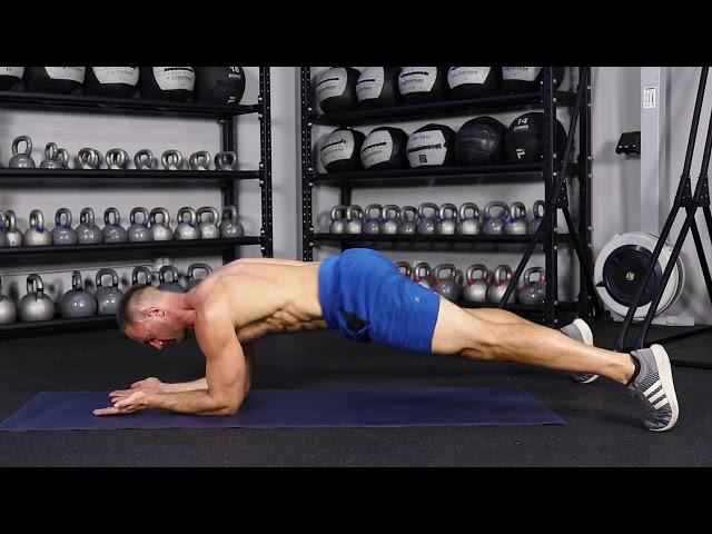 Elbow plank hip twists