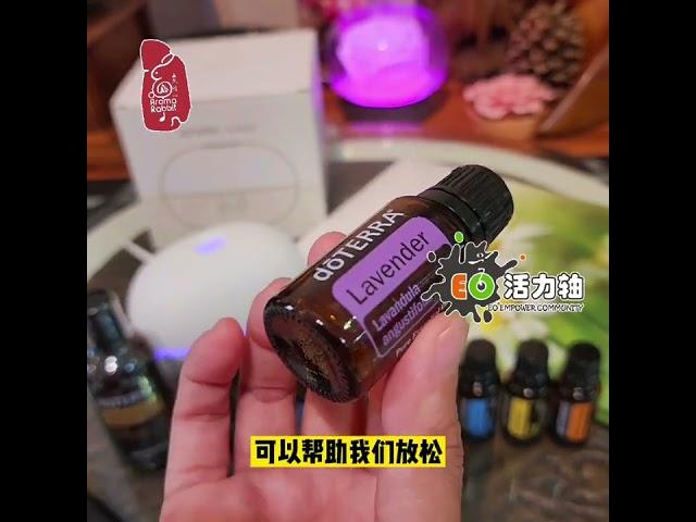 ＃Doterra 精油从何开始最合适？基本精油入门套装吗？怎么说？