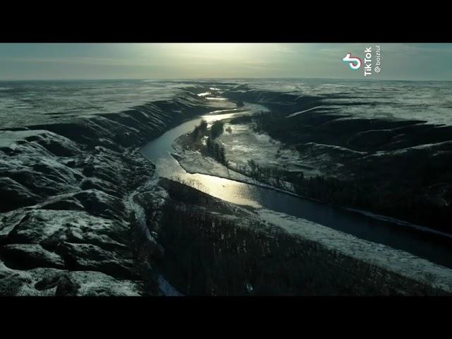 The revenant edit