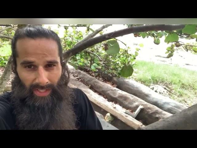 Welcome To Yogi Adventures