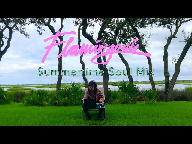 Flamingosis - Summertime Soul (DJ Mixtape)