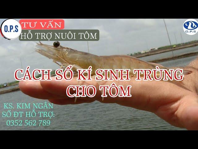Sổ kí sinh trùng trên tôm | Nguyễn Thị Kim Ngân Official