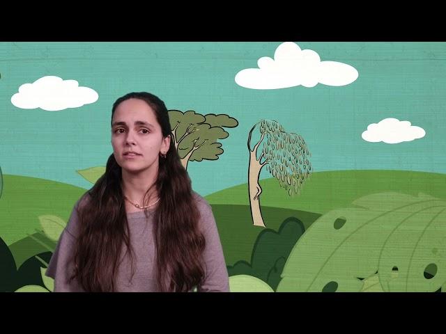 Beatriz Moura - You Might Be Plant Blind!