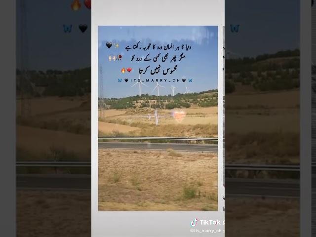 Prince Zohaib