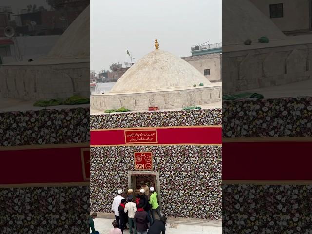 Zinda Shah Madar Urs 2024 Live Hazrat Badiuddin Zinda Shah Madar (R.A) Makanpur Sharif #dargah #urs