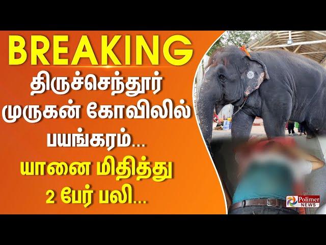 #BREAKING - திருச்செந்தூர் முருகன் கோவிலில் பயங்கரம்... யானை மிதித்து 2 பேர் பலி...