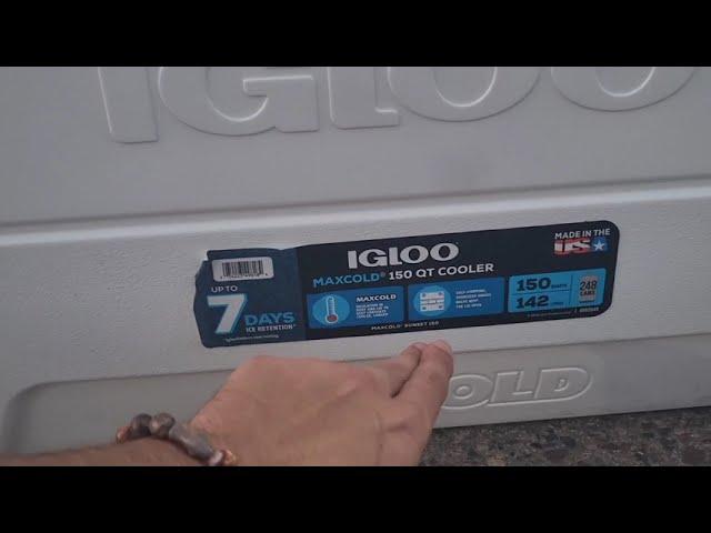 Igloo Maxcold 150Qt Cooler Full Of Ice And Drinks