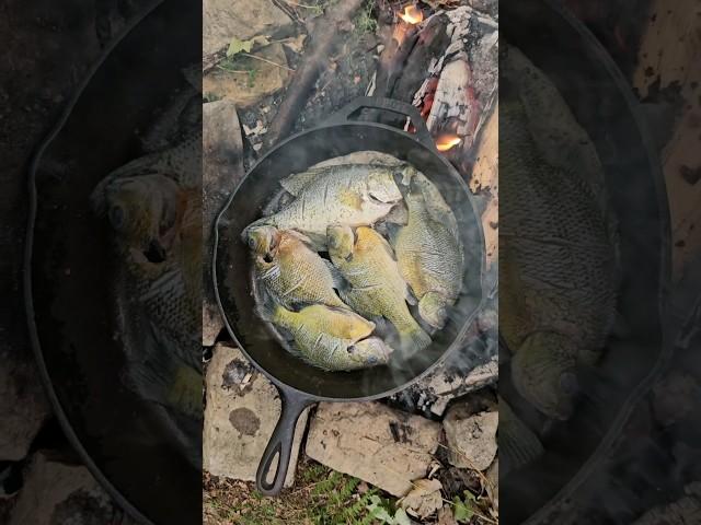 Catch and Cook Crappie and Bluegill