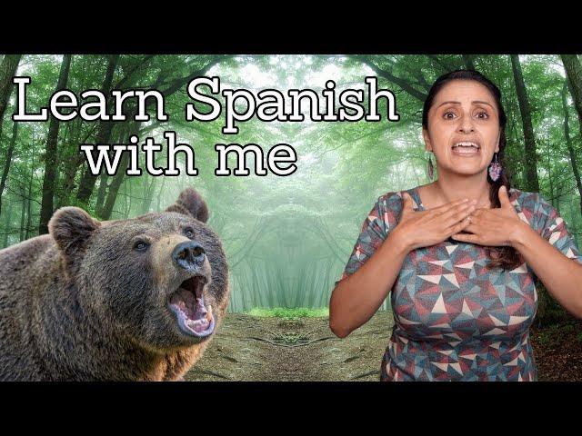 Real Life stories in Spanish - Comprehensible Input - Learn Spanish