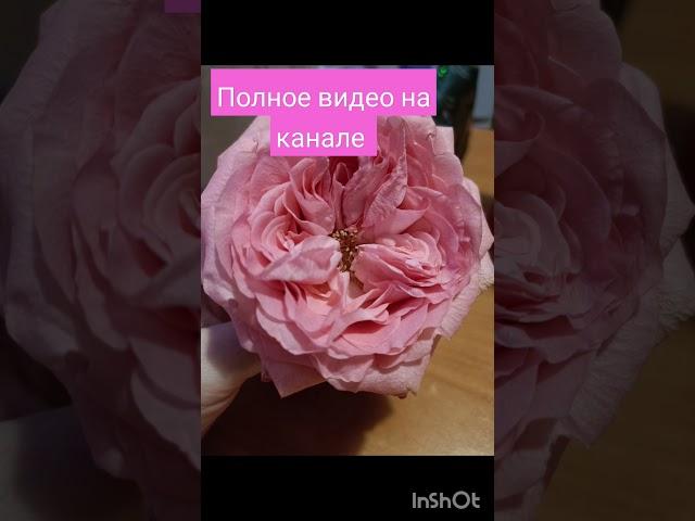 #5измерение #переход #феномен #любовь