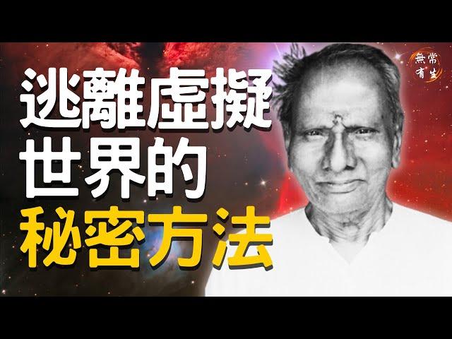 逃離夢幻泡影 逃離虛擬世界的秘密方法｜靈性探索 自我超越 #無常有生