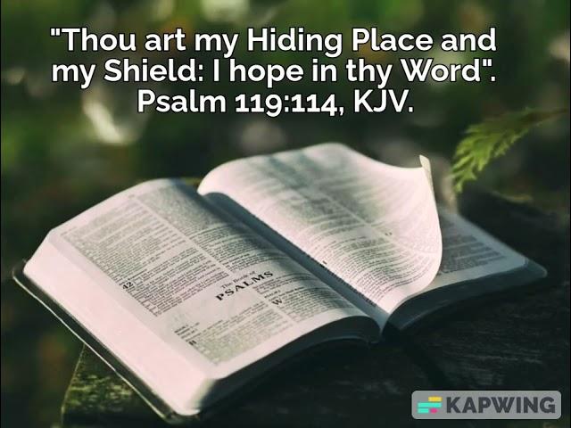 God is my Hiding Place and my Shield. Psalm 119:114, KJV.