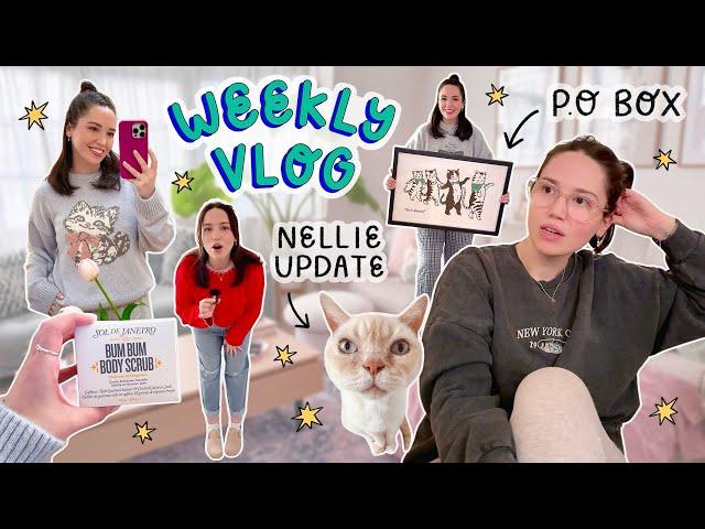 WEEKLY VLOG 27  An update on Nellie - where is he? P.O box haul + trying new food!