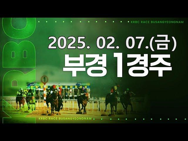 (부산) 2025.02.07 1경주