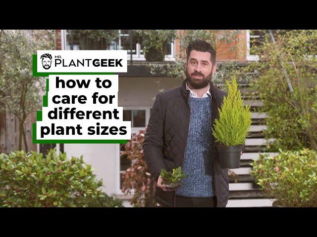 How To Care For Different Plant Sizes | Mr Plant Geek