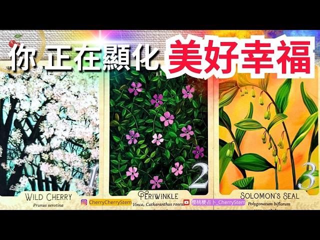   近期 你正在顯化的好運 好事 美好幸福｜現在 你正在發生的幸運  圓滿️ 有字幕 🟣無時間限制占卜 🟡  #塔羅 #占卜 #字卡 #tarot #oracle #愛情 #戀愛 #事業 #貴人