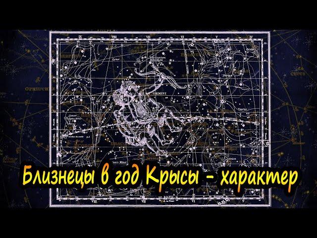 Близнецы в год Крысы - характер