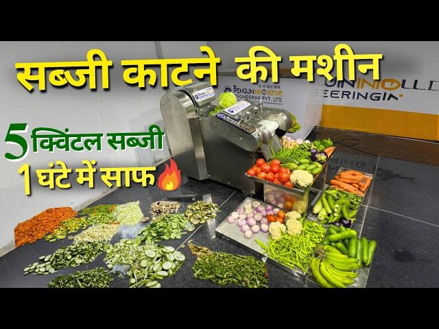 New Vegetable Cutting Machine | Vegetable Cutter | Food Business Ideas 2025