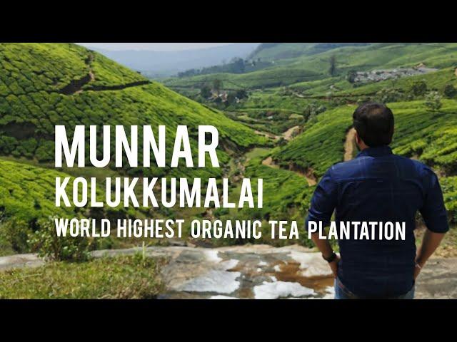 Munnar Amazing Tea Plantation |  World Highest Organic Tea Plantation | Off Road Trip | Kolukkumalai